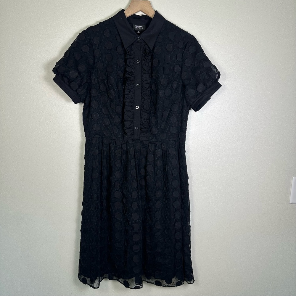 Adrianna Papell Black Polka Dot Short Sleeve Collared Dress